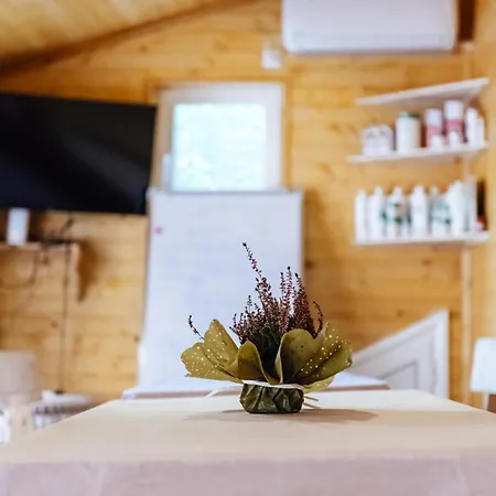 инфинити Daire